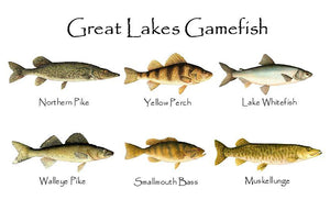 Great Lakes Gamefish