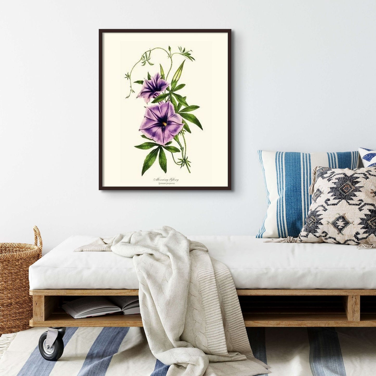 Morning Glory | Flower/Floral Art Print