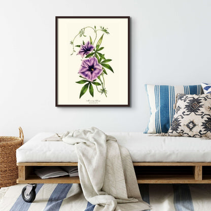 Morning Glory | Flower/Floral Art Print