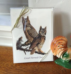 Owl Note Cards