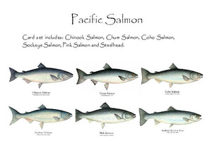 Pacific Salmon