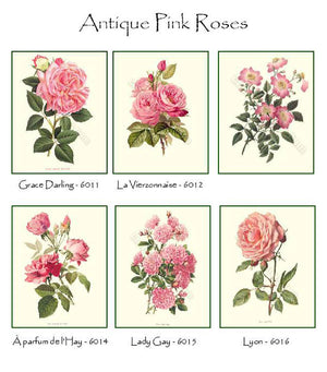 Vintage Pink Rose Note Card Set