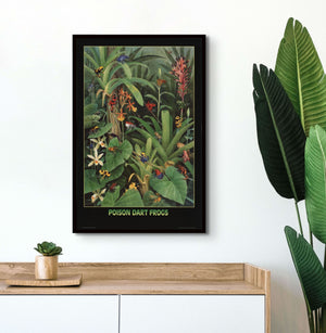 Poison Dart Frogs Poster - Charting Nature