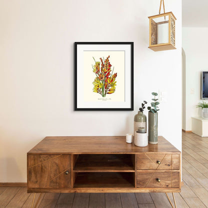 Spotted African Cornlily | Flower/Floral Art Print