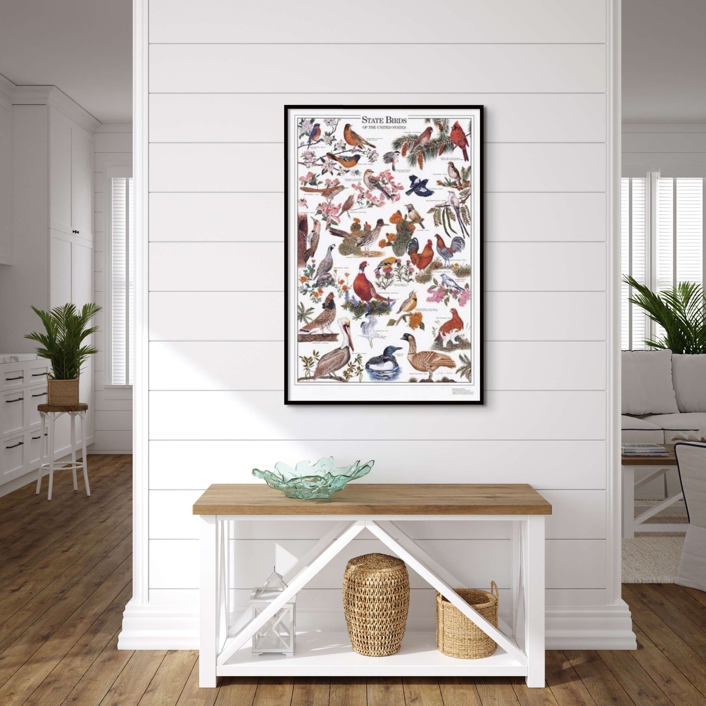 State Birds Poster Identification Chart