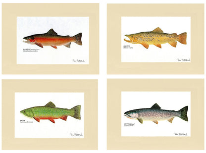 Trout Print Art Set - Charting Nature
