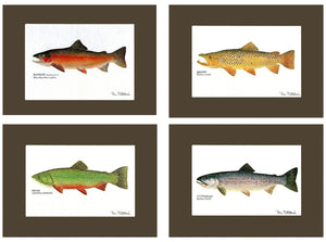 Trout Print Art Set - Charting Nature