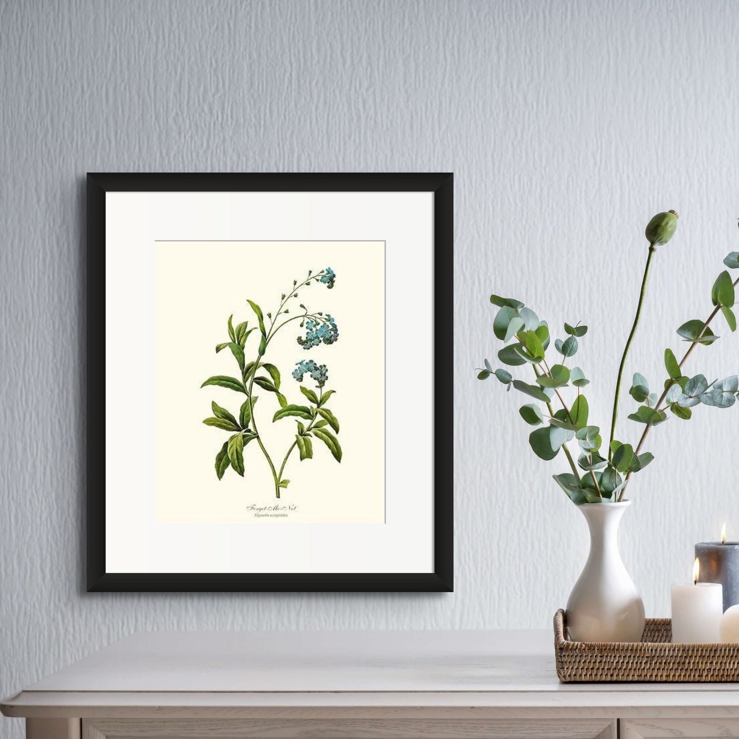 Forget-me-not | Flower/Floral Art Print
