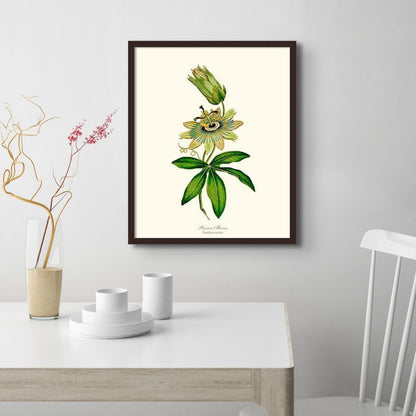 Passion Flower | Flower/Floral Art Print