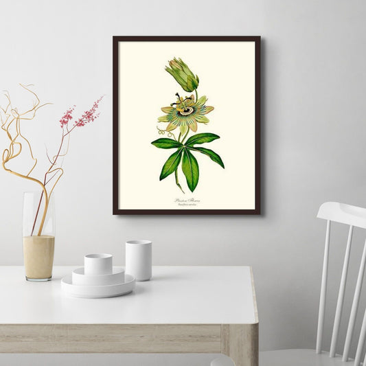 Passion Flower | Flower/Floral Art Print