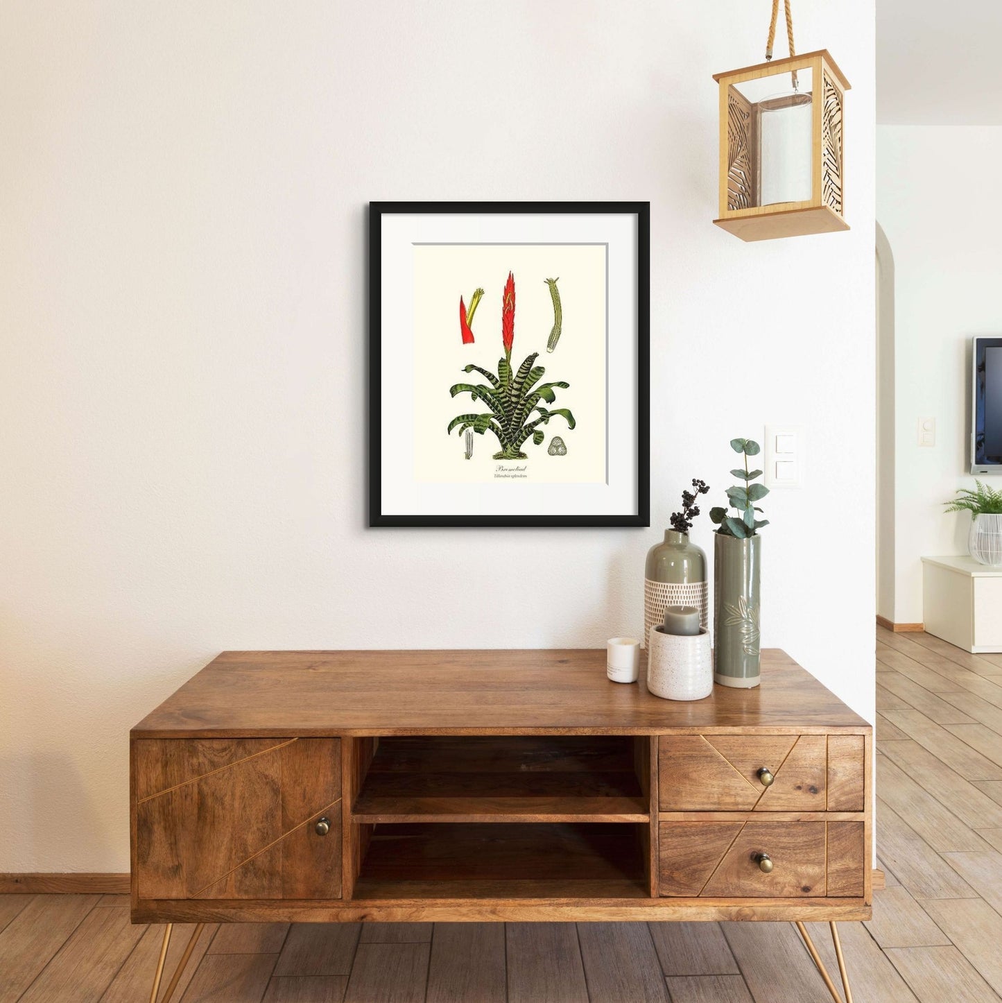 Bromeliad | Flower/Floral Art Print