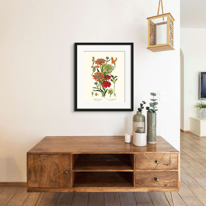 Candytuft | Flower/Floral Art Print