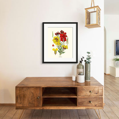 Wallflower | Flower/Floral Art Print